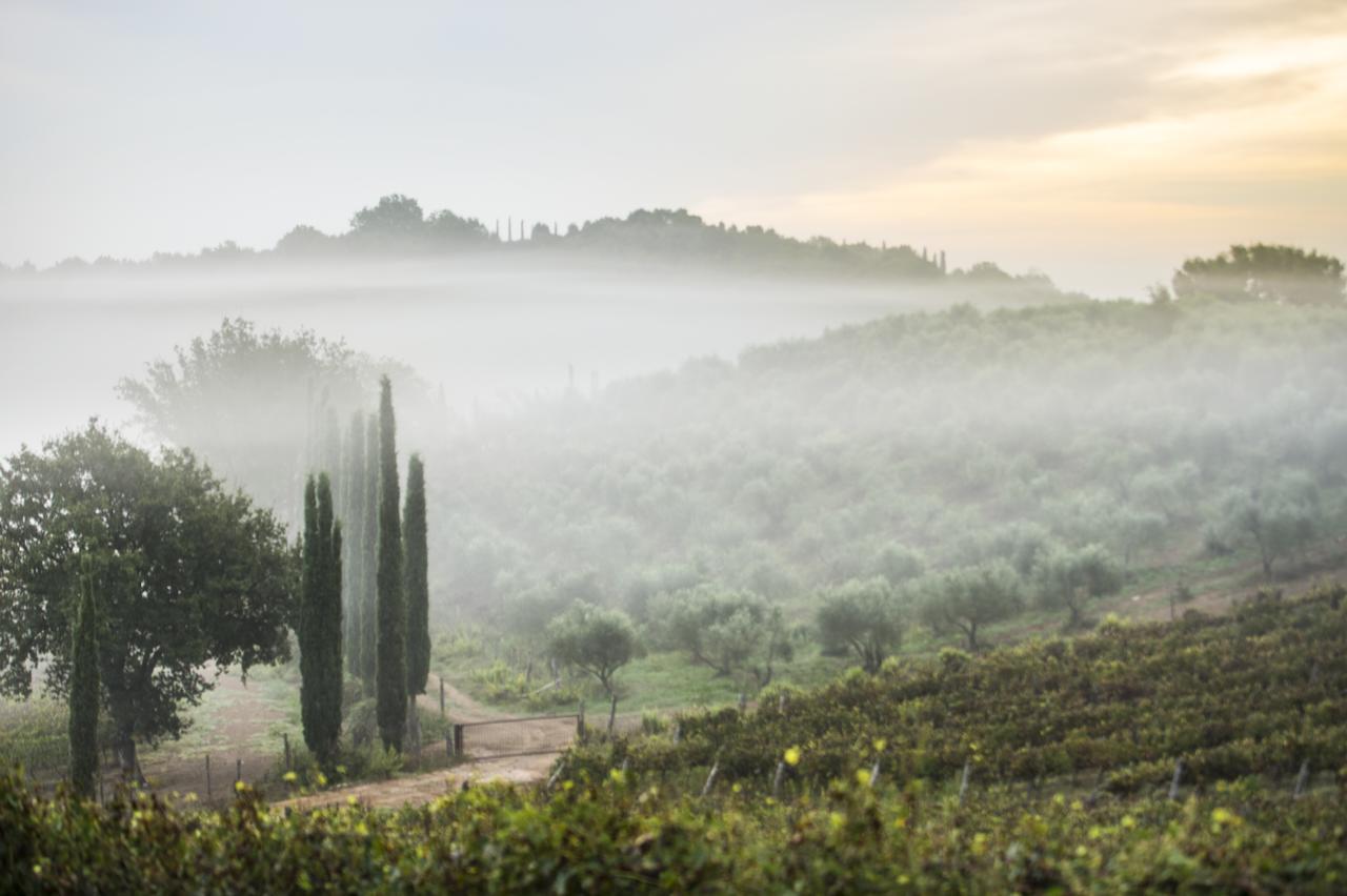 Agriturismo Poggio Corbello La Pesta Dış mekan fotoğraf