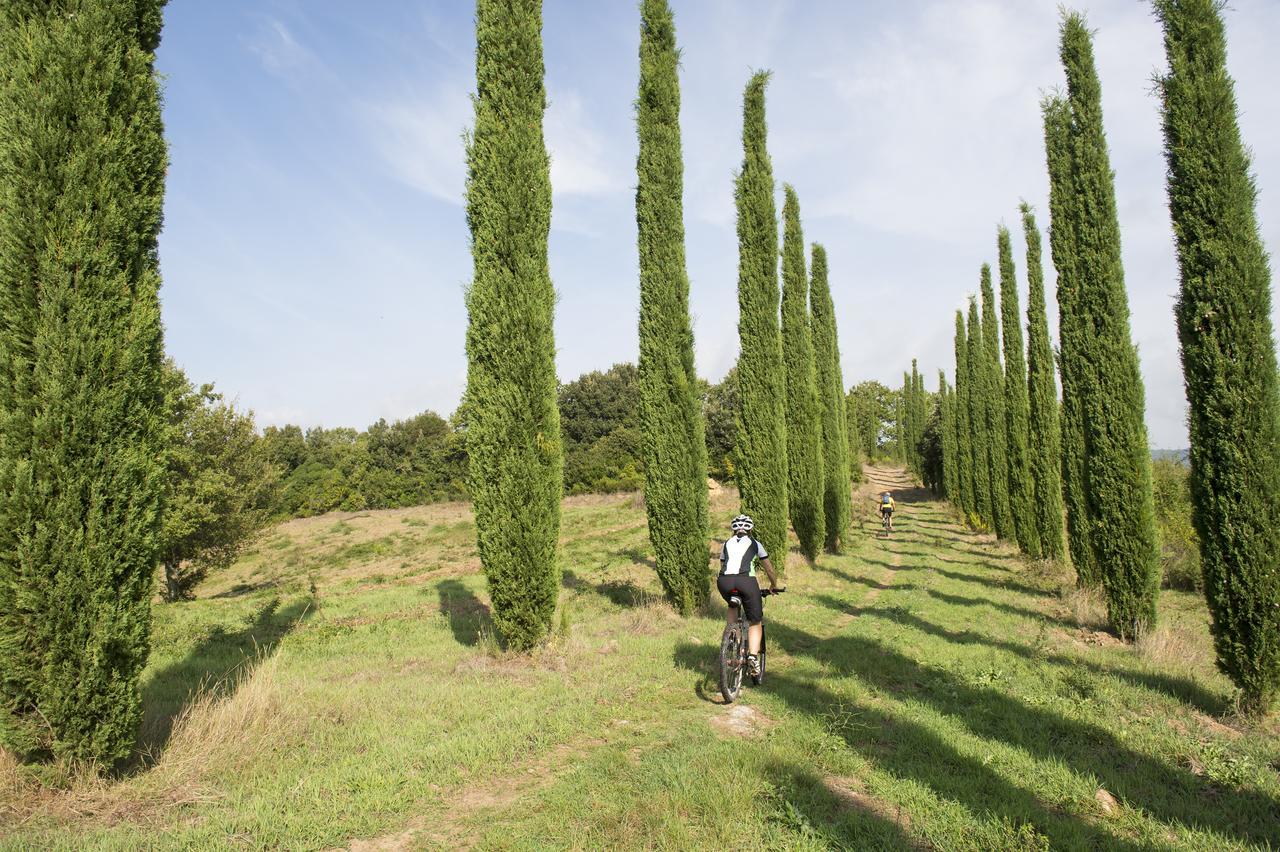 Agriturismo Poggio Corbello La Pesta Dış mekan fotoğraf