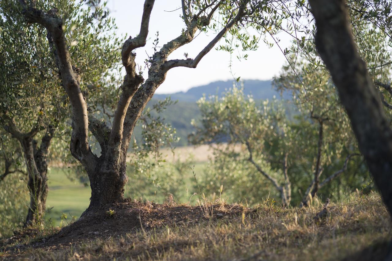 Agriturismo Poggio Corbello La Pesta Dış mekan fotoğraf
