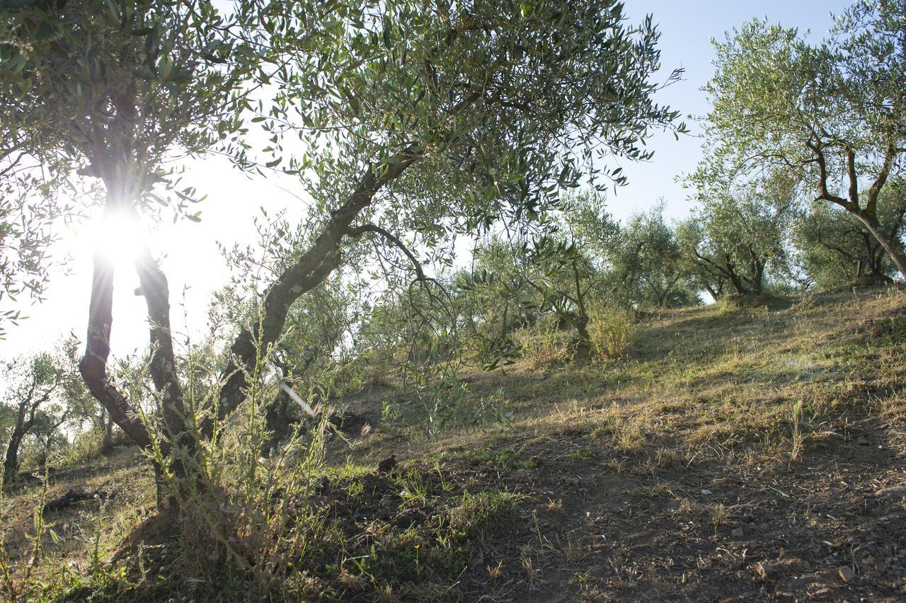 Agriturismo Poggio Corbello La Pesta Dış mekan fotoğraf