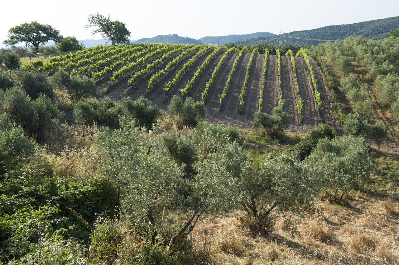 Agriturismo Poggio Corbello La Pesta Dış mekan fotoğraf